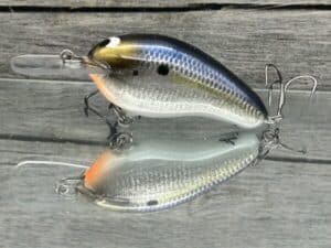 Black Label Balsa - Prowler MR Signature Series - Custom Balsa Squarebill Crankbait - Foiled Threadfin Shad Color