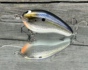 Black Label Balsa - Prowler MR Signature Series - Custom Balsa Squarebill Crankbait - Foiled Threadfin Shad Color