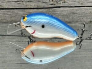 Black Label Balsa - Bully - Custom Balsa Squarebill Crankbait - Blue Back Pearl Orange Belly Color