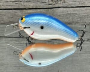 Black Label Balsa - Bully - Custom Balsa Squarebill Crankbait - Blue Back Pearl Orange Belly Color