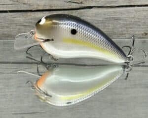 Black Label Balsa - Ricochet - Custom Balsa Crankbait - Threadfin Shad Pearl Color