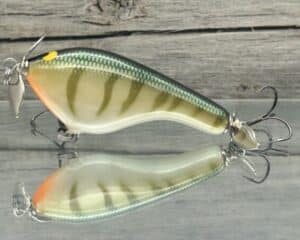 Black Label Balsa - Tease - Custom Balsa Topwater Prop Bait - Yellow Perch