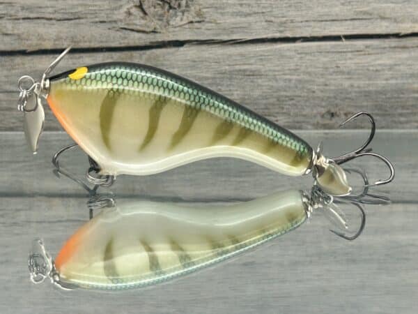 Black Label Balsa - Tease - Custom Balsa Topwater Prop Bait - Yellow Perch  - Wood Bait Country