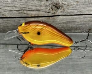 Black Label Balsa - Bully - Custom Balsa Squarebill Crankbait - Hot Mustard color