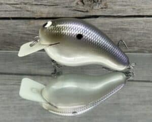 Black Label Balsa - CBS 2 - Custom Balsa Squarebill Crankbait - American Shad Color- Bagley B2