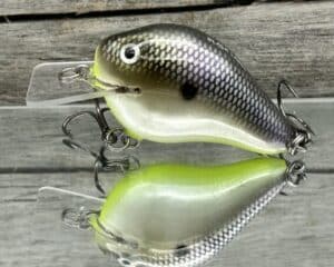 Black Label Balsa - C-1 - Custom Balsa Crankbait - American Shad Chartreuse Belly Color