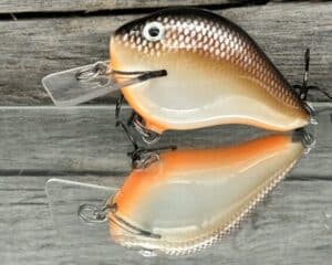 Black Label Balsa - C-1 - Custom Balsa Crankbait - Hot Chocolate Color