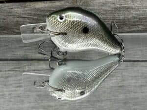 Black Label Balsa - C-1 - Custom Balsa Crankbait - Gizzard Shad Foil Color