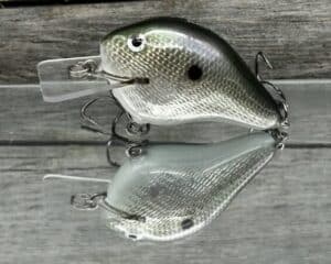 Black Label Balsa - C-1 - Custom Balsa Crankbait - Gizzard Shad Foil Color