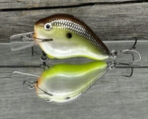 Black Label Balsa - C-1 - Custom Balsa Crankbait - Slick Color