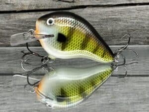 Black Label Balsa - C-1 - Custom Balsa Crankbait - Bold Bluegill Color