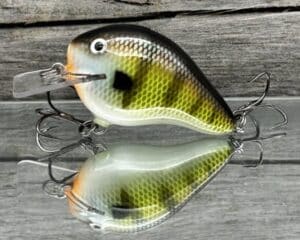 Black Label Balsa - C-1 - Custom Balsa Crankbait - Bold Bluegill Color