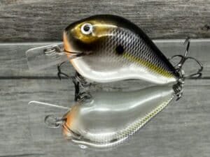 Black Label Balsa - C-1 - Custom Balsa Crankbait - Threadfin Shad Pearl Color
