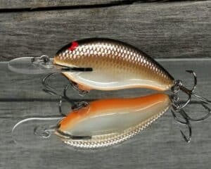 Black Label Balsa - Badger - Custom Balsa Crankbait - Hot Chocolate Color