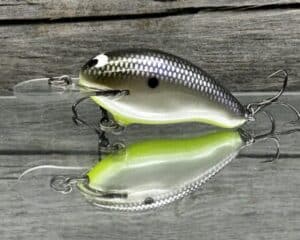 Black Label Balsa - Badger - Custom Balsa Crankbait - American Shad Chartreuse Belly Color