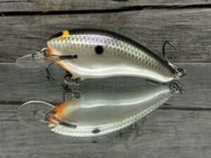 Black Label Balsa - Cricket - Custom Balsa Crankbait - Gizzard Shad Pearl color