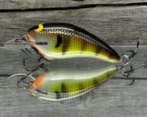Black Label Balsa - Cricket - Custom Balsa Crankbait - Bold Bluegill color