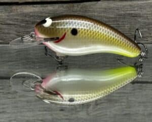 Black Label Balsa - Cricket - Custom Balsa Crankbait - Cliff's Secret color