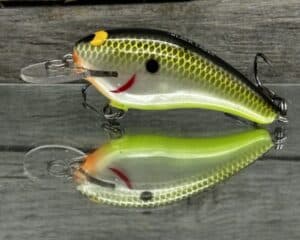 Black Label Balsa - Cricket - Custom Balsa Crankbait - Plemmons color