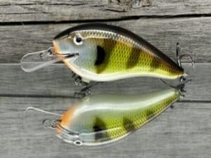 Black Label Balsa - Seducer - Custom Balsa Crankbait - Bold Bluegill color