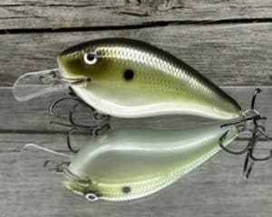Black Label Balsa - Seducer - Custom Balsa Crankbait - Money Shad color