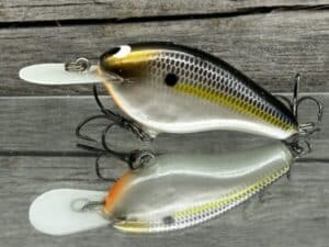 Black Label Balsa - Fat Flat - Custom Balsa Crankbait - Threadfin Shad Pearl color