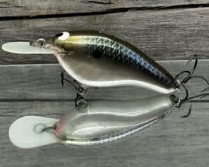 Black Label Balsa - Fat Flat - Custom Balsa Crankbait - Bad Shad color