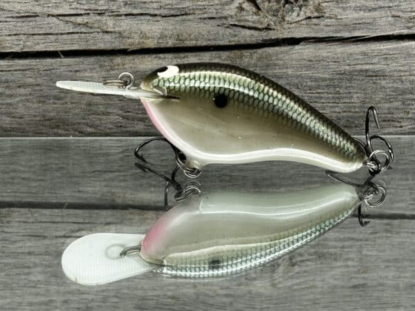 Black Label Balsa - Fat Flat - Custom Balsa Crankbait - Green Albino color  - Wood Bait Country