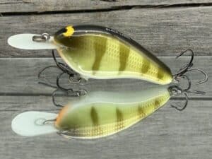 Black Label Balsa - Fat Flat - Custom Balsa Crankbait - Faded Perch color