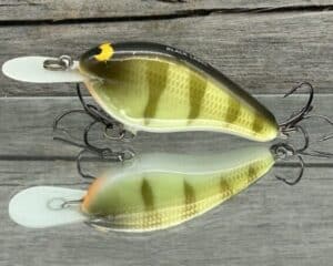 Black Label Balsa - Fat Flat - Custom Balsa Crankbait - Faded Perch color