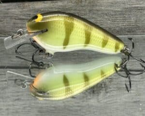 Black Label Balsa - Prowler Flat - Custom Balsa Squarebill Crankbait - Faded Perch color