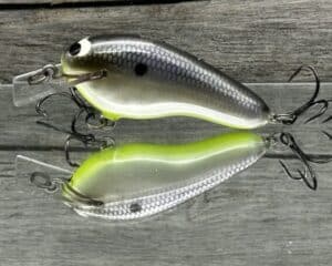Black Label Balsa - Prowler Flat - Custom Balsa Squarebill Crankbait - American Shad Chartreuse Belly color