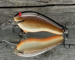 Black Label Balsa - Prowler Flat - Custom Balsa Squarebill Crankbait - Hot Chocolate color