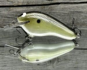 Black Label Balsa - Prowler Flat - Custom Balsa Squarebill Crankbait - Money Shad color