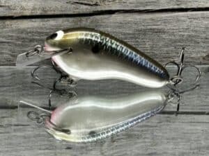 Black Label Balsa - Prowler Flat - Custom Balsa Squarebill Crankbait - Bad Shad color