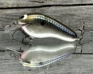 Black Label Balsa - Prowler Flat - Custom Balsa Squarebill Crankbait - Bad Shad color