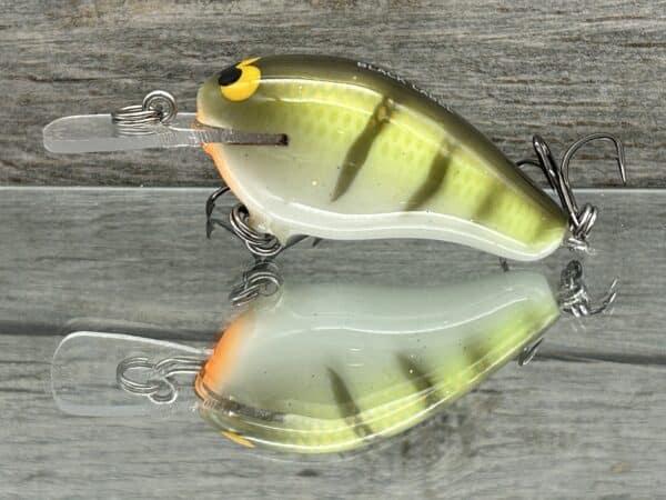 Black Label Balsa - Sweetheart MR - Custom Balsa Crankbait - Faded Perch  color - Wood Bait Country