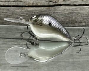 Black Label Balsa - Wreck Deep - Custom Balsa Crankbait - American Shad color