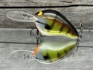Black Label Balsa - Wreck Deep - Custom Balsa Crankbait - Bold Bluegill color
