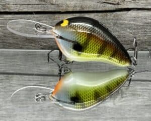 Black Label Balsa - Wreck Deep - Custom Balsa Crankbait - Bold Bluegill color
