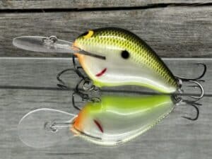 Black Label Balsa - Wreck Deep - Custom Balsa Crankbait - Plemmons color