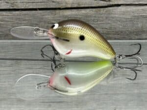 Black Label Balsa - Wreck Deep - Custom Balsa Crankbait - Cliff's Secret color