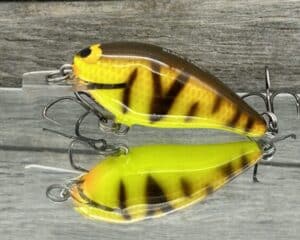 Black Label Balsa - BL 1.0 - Balsa Squarebill - Spring Tiger color