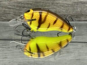 Black Label Balsa - Sweetheart - Custom Balsa Crankbait - Spring Tiger color