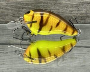 Black Label Balsa - Sweetheart - Custom Balsa Crankbait - Spring Tiger color