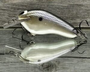 Black Label Balsa - Prowler Flat - Custom Balsa Squarebill Crankbait - American Shad color