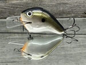Black Label Balsa - C-1 - Custom Balsa Crankbait - Tennessee Shift color