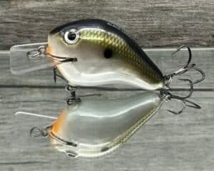 Black Label Balsa - C-1 - Custom Balsa Crankbait - Tennessee Shift color