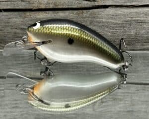 Black Label Balsa - Prowler - Custom Balsa Squarebill Crankbait - Tennessee Shift color