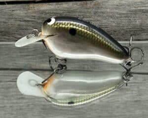 Black Label Balsa - Peanut - Balsa Crankbait - Tennessee Shift color - Zoom WEC Mutt